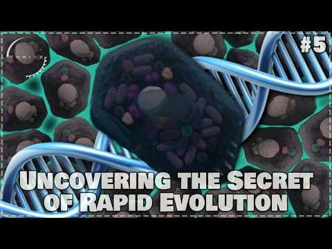 Evolving Quickly Through the Multicellular Stage | Thrive Let's Play #5