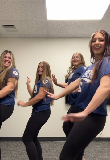 party at west york softball | softball