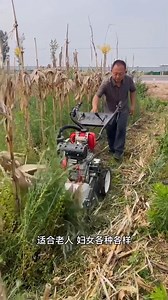 Micro tiller machine Multifunctional power weeder Cultivator Ditching M #fblifestyle | Admin Morn99