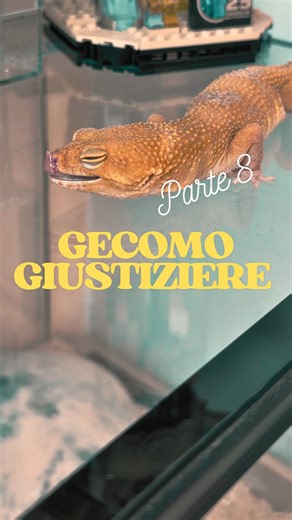 Ilaria Rimoldi on Instagram: "L’EX DI OGGI È…FRANCESCO! Chi sarà il prossimo? 👀 Tagga un’amic* e scrivi nei commenti il nome dell’ex da dare in pasto al nostro giustiziere 🦎 (⚠️ Questo è un format ironico e scherzoso. Non si augura del male a nessuno — solo un po’ di vendetta simbolica… in forma di blatta💓) #gecomogiustiziere #ilariarimoldi"