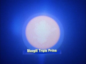 【核爆纪实】1962年美国超40千米空域核爆炸“Bluegill Triple Prime”测试高清画面