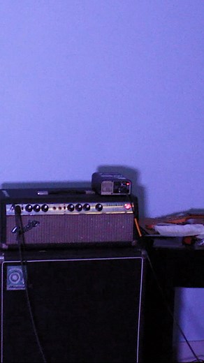 Why the fender bassman is the best amplifier #guitar#bass #fender #amplifier