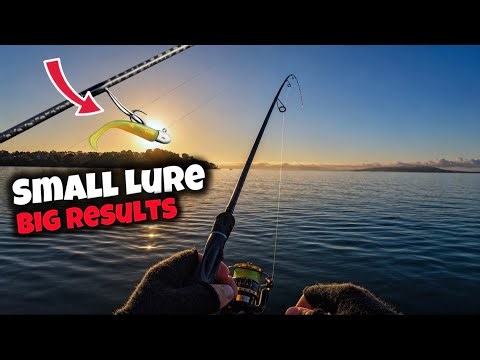 Catching MULLOWAY on a TINY Lure !!!