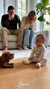 The Ultimate Staring Contest! 🐶👶✨ ​ ​Watch as this energetic pup tries everything to get a reaction, while the baby stays perfectly calm and unfazed. It’s the cutest standoff you’ll see all day! Even the parents can’t stop laughing at this silent showdown. ​ ​#babyanddog #funnyanimals #cutebabies #doglovers #staringcontest #wholesome #parentinghumor #poodlemix #babyfever #adorablemoments | Vibziai