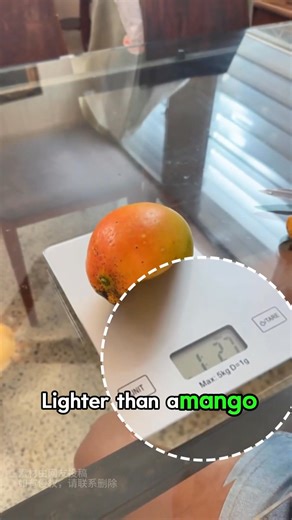 6K views · 96 reactions | The smallest puppy in the world #shorts #dog #cute | Animal - Rescue Center | Facebook