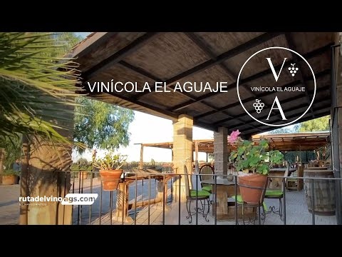 Vinicola El Aguaje disfruta de la ruta del vino de Aguascalientes