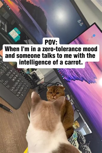 Dealing with Overwhelm: A Humorous Take