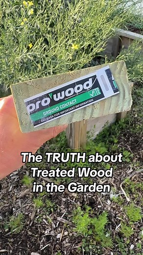 The TRUTH about treated wood 👇🏼 Some of the chemicals used in treated wood, particularly older formulations can be toxic to plants, while modern treatments are considered less toxic. Copper is an essential nutrient for plants which is used in most treatment processes, but as it leaches from the treated wood excessive levels can become toxic. Treated wood I would not recommend for the Veggie Garden - CCA contains arsenic which is harmful to plants and humans. It's being phased out and no longer