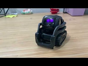 Vector’s opinion of the Bad Bunny show at Super Bowl LX