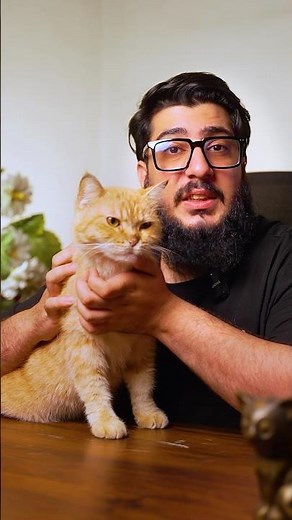 Your Cat’s Purr Has a Hidden Meaning, Science Explains! #cat #catpurring
