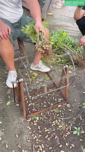 🥜🛠️ Foot-Pedal Driven Peanut Pod Stripper Tool
