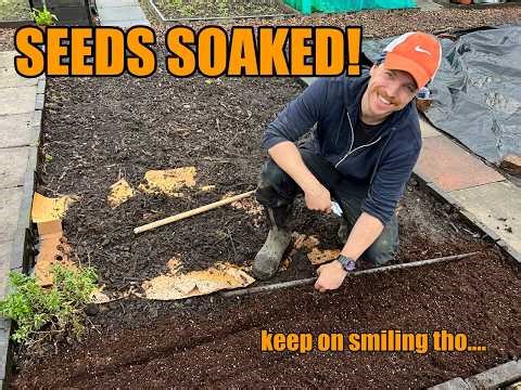 Day 21 |Our Seeds Got SOAKED! 🌧️ But the Potatoes Are Exploding! | UK ALLOTMENT