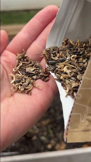 American Meadows Select State Wildflower Seed Mix