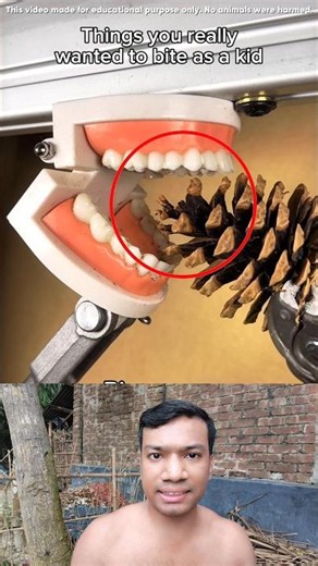 Testing Weird Objects With Fake Teeth 😱