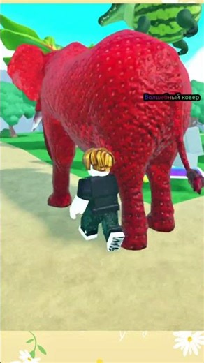 Roblox FIND THE BRAINROT