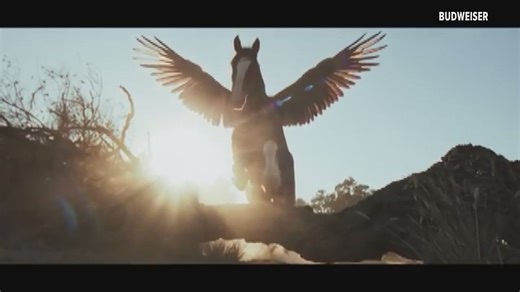 Budweiser Clydesdale soars in new Super Bowl LX commercial
