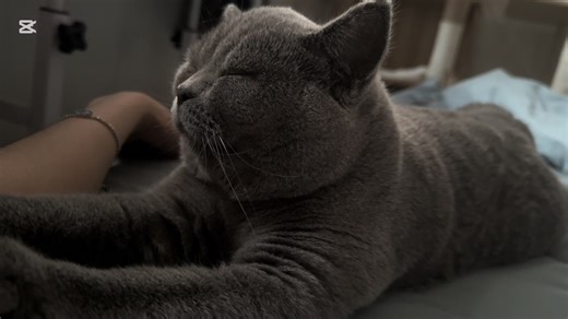 JnG (@jng.sg)’s videos with The Silent Lake - Blush Notes