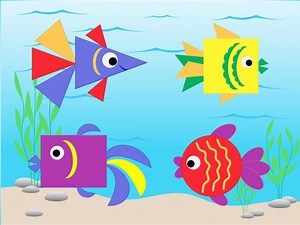 Les poissons et leurs formes