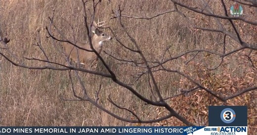 Wisconsin's gun-deer hunting season now underway