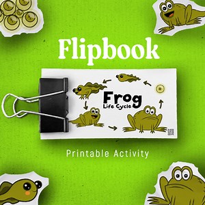 Frog Life Cycle Flipbook, Printable Toad Life Cycle Craft for Frog Unit Study