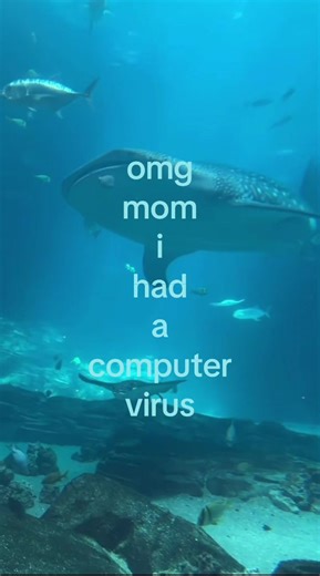 Understanding Computer Viruses: A Relatable Experience