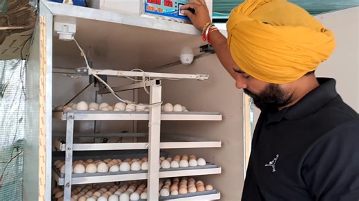 53K views · 1.6K reactions | Hatching Machine Vich 2000 Hor Bache Nikal Gaye | Toor Farm | Facebook