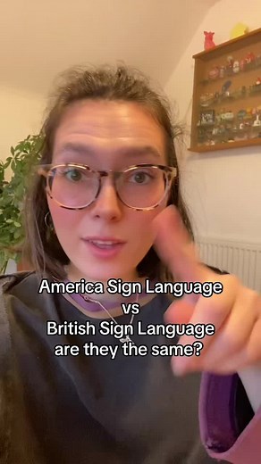 Exploring Differences: ASL vs BSL