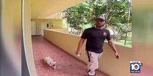 CCTV footage captures man with dog: what follows sparks outrage