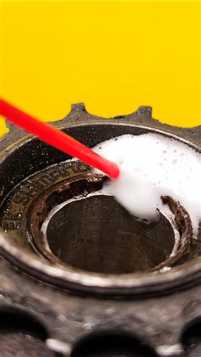 @good.bicycle.service on Instagram: "The freewheel bicycle mechanism inside. Small bicycle bearings reduce friction and allow the freewheel to spin freely when coasting. Proper cleaning and lubrication help this cycle mechanism stay quiet, reliable, and efficient. #bicyclefreewheel #freewheel #freewheelinside"