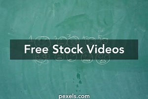 Surprised Faces Videos, Download The BEST Free 4k Stock Video Footage & Surprised Faces HD Video Clips
