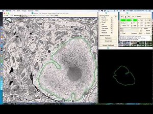 IMOD training - basics tutorial