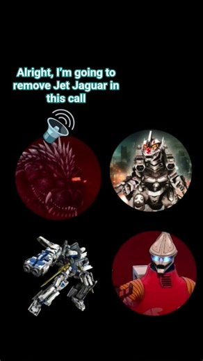 We had our first time zoom call, but some thing is going wrong