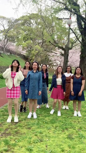 Tomato Farming in Japan: A Proud Farmer's Journey with Cherry Blossoms