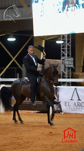 5.9K views · 521 reactions | Jerarca de JH, Gran Campeón Paso Fino Spectrum Internacional 2024  bajo el manejo y la monta de Jimmy Espino @criaderojh | PasofinoTv.com | Facebook
