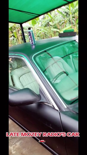 Tribute to Moze Radio by Weasel Manizo