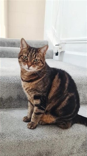 It's Spring, Dee Dee!