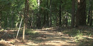 Land Trust of North Alabama created a new trail on Green Mountain