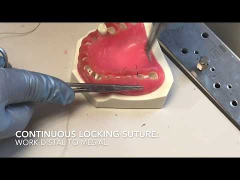 Dental Suturing 102: Basic Instrument Tie, Hand Tie, & Continous