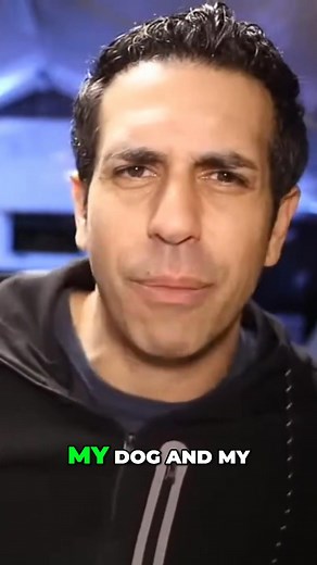 Using a Gentle Leader gives you nose control, and where the nose goes, the body follows. This makes it easier to stop your dog from biting the carpet. But most people give up too soon when the dog doesn't like it at first. #GentleLeader #DogTraining #NoseControl #DogBehavior #CarpetBiting | CIA Dog Training | Facebook