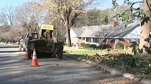 North Carolina teen falls into wood chipper, dies during first day of work