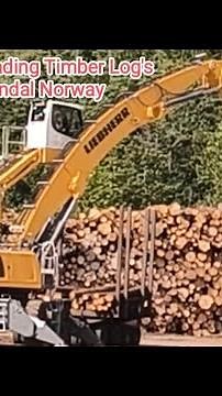 Mandal Norway Self Loading Cargo Timber Logs