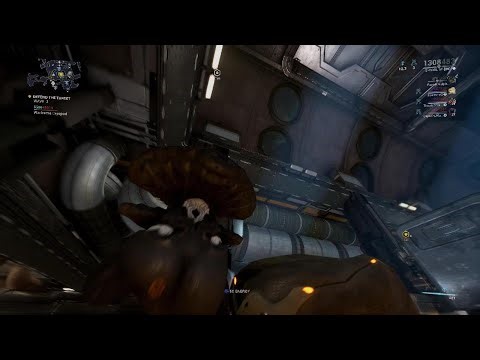 Warframe - The Nokko Experience