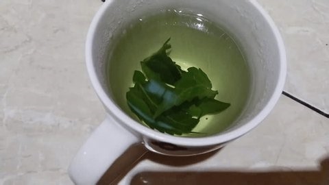 Herbal Tea Cats Whiskers Leaves Orthosiphon Stock Footage Video (100% Royalty-free) 4012073173 | Shutterstock