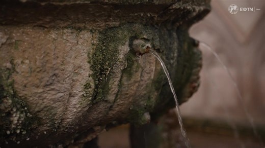 10K views · 483 reactions | I was given a rare look inside Heiligenkreuz Abbey in the hills of Austria. This stunning monastery is one of the oldest in the world dating back 900 years and Fr. Aelred Maria showed me some of its inner beauty. | Colm Flynn | Facebook