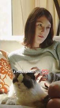 TOUT sur la PERSONNALITÉ des chats Ragdoll 😍 Caractère du RAGDOLL !
