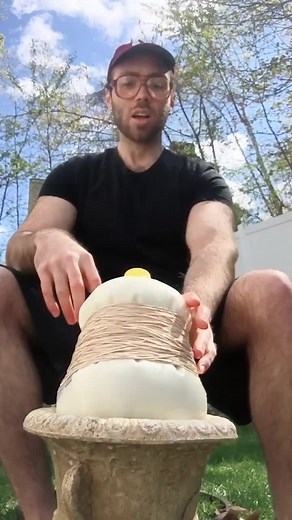 Understanding Content Removal on TikTok