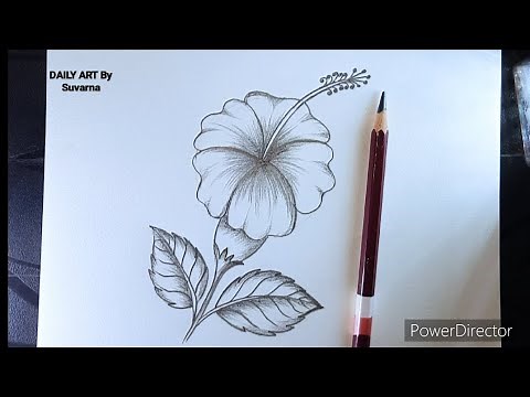 How To Draw a 🌺 Hibiscus Flower | Hibiscus Flower Drawing