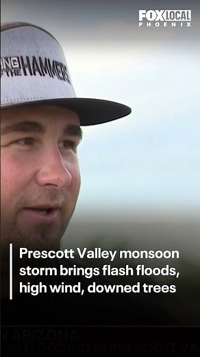 Intense storms bring down trees, flood Agua Fria River | FOX 10 Phoenix