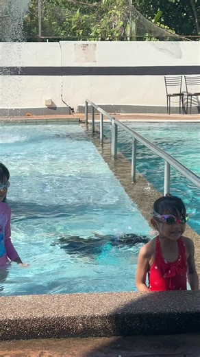 Exploring the World of Swimming