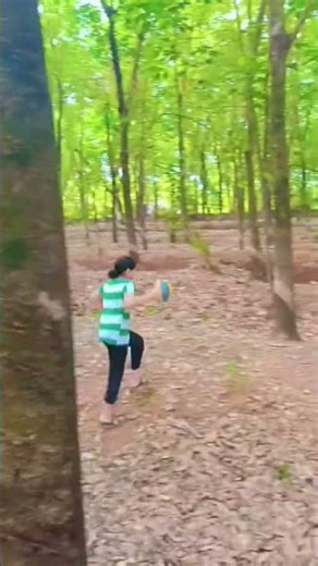 Kerala morning Vibes 🌲 🦚